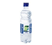 Природная газированная вода Vorgol в пластике