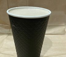 vp1