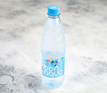 Bon Aqua