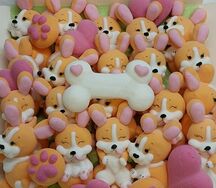 Королевский корги 