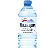 Вода Пилигрим негазированная