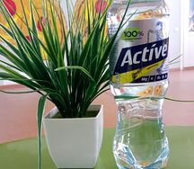 Аctive