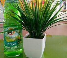 Черноголовка тархун