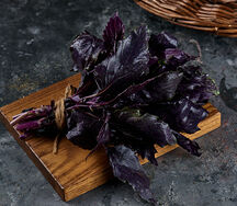 Базилик свежий