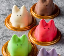 Jiggly cat