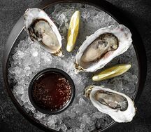 Устрица Касабланка