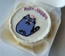 Бенто-торт с котиком