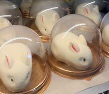 Муссовый зайка