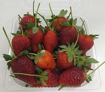 Клубника свежая