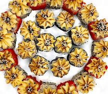 Сет Камчатка