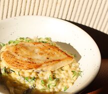 Чикен брест с птитимом