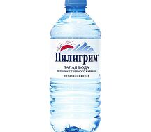 Вода Пилигрим негазированная