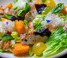 Цезарь с индейкой