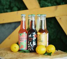 Газированный лимонад Lemonardo