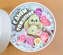 Шоколадный набор Зайка