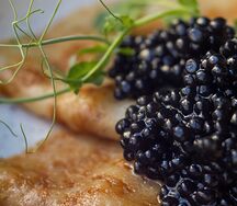 Блины с черной икрой, кешью, сметаной и зеленью