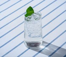 Лимонад Алоэ-эвкалипт 