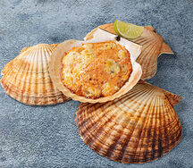 Гребешок с дорблю и красным луком