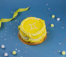 Бенто-торт Близнецы