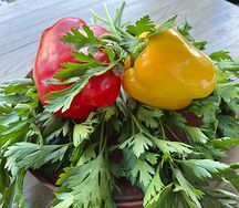 Сладкий перец