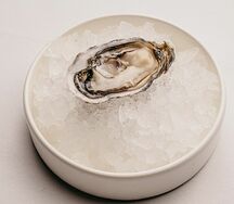 Устрица Муроцу