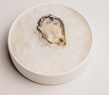 Устрица Принцесса Джоли