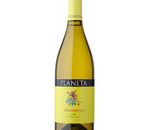 Planeta Terebinto Grillo