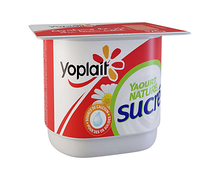 vp1