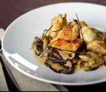 Fricassée de poulet