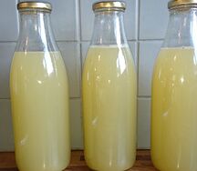 Jus de gingembre