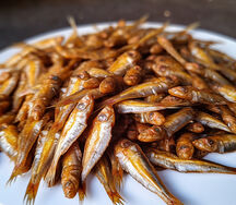 Fresh Kapenta