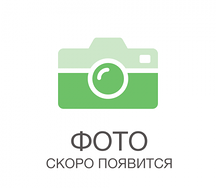 Феникс запеченный