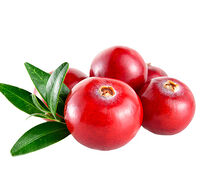 Сироп Брусничный 15 г