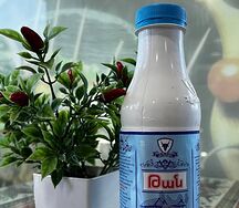Թան Իգիթ