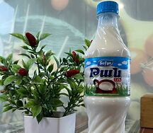 Թան Սոֆյա