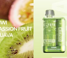 Elf Bar TE 5000 puffs Kiwi Passion Fruit Guava