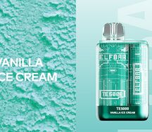Elf Bar TE 5000 puffs Vanilla Ice Cream