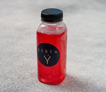 vp1