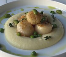 Морской гребешок с картофельным пюре