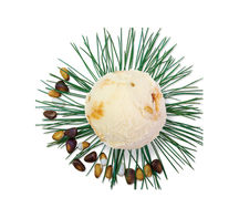 Кедровый орех