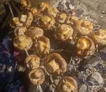 Грибы на углях