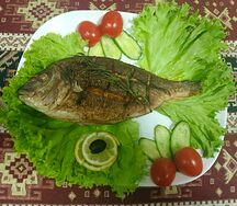 Пьяная дорада