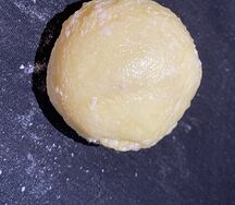 vp1