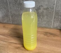 Лимонник 
