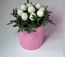 Розовая девочка 