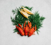 Мелкие раки