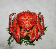 Краб камчатский