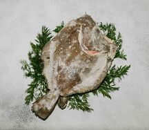 Камбала