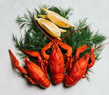 Крупные раки
