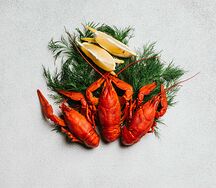 Среднекрупные раки